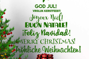 PvdA Schiedam wenst u een vrolijk Kerstfeest!